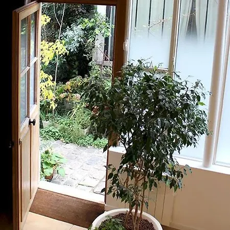 Atelier D'artiste / Artist Loft / 35m2
