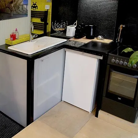 Atelier D'artiste / Artist Loft / 35m2