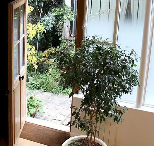 Atelier D'artiste / Artist Loft / 35m2