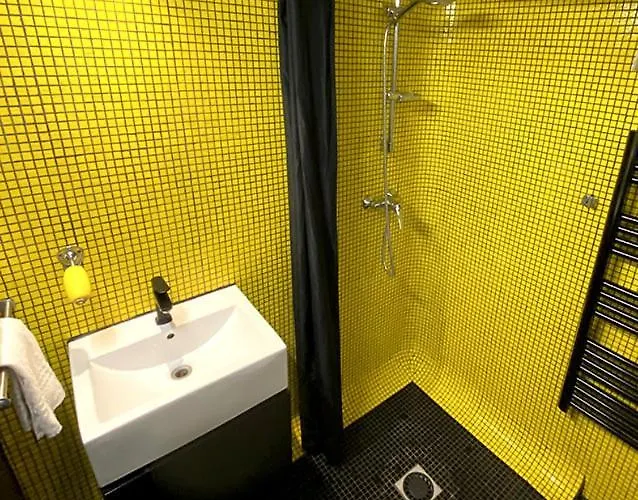 Atelier D'artiste / Artist Loft / 35m2 * パリ