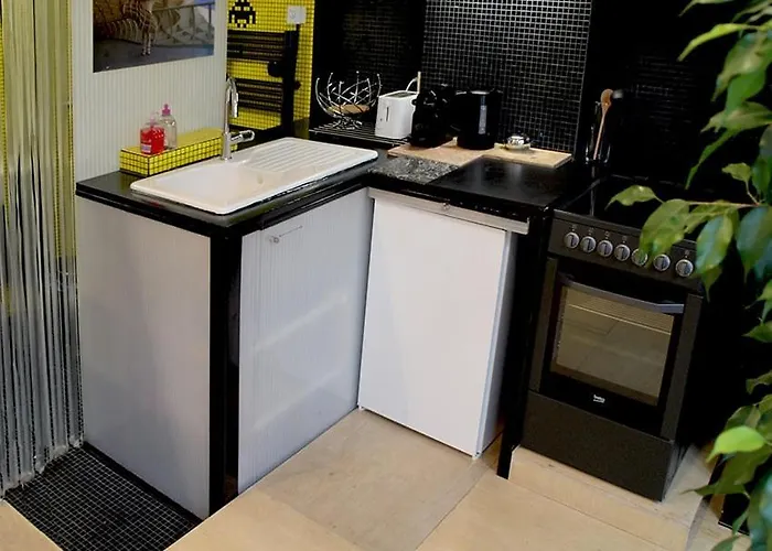 Atelier D'artiste / Artist Loft / 35m2